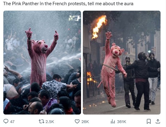 Pink Panther costume in the middle of a French protest under water cannon spray
