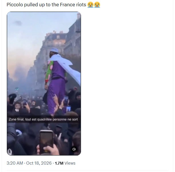Cosplayer in a purple outfit with a white cape at a crowded French protest